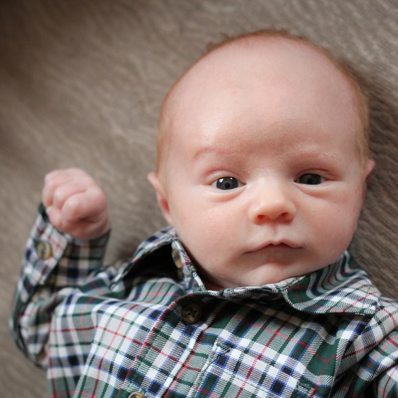 Meet your Posher, Louisa - Picture 1 of 1